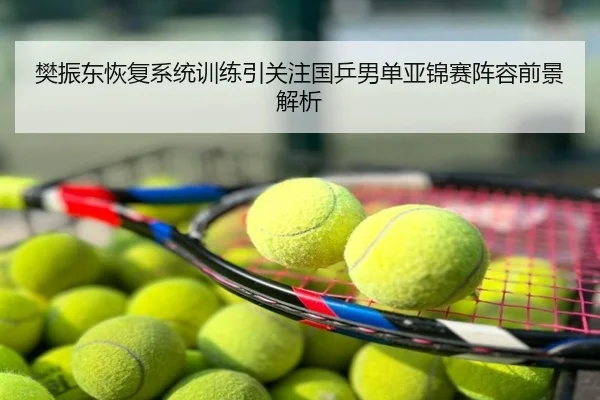 樊振东恢复系统训练引关注国乒男单亚锦赛阵容前景解析